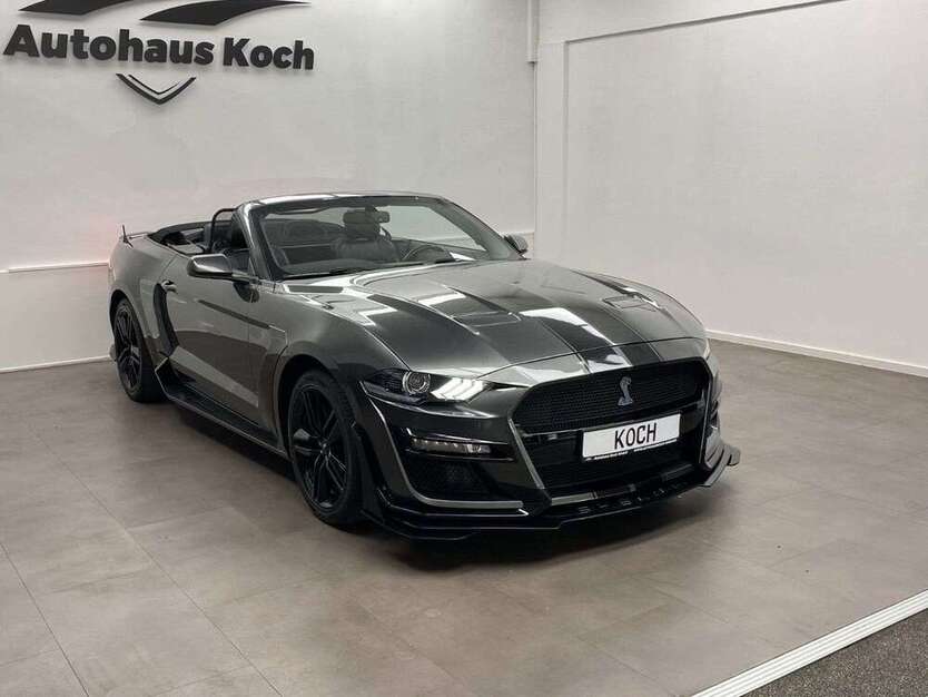 Mustang