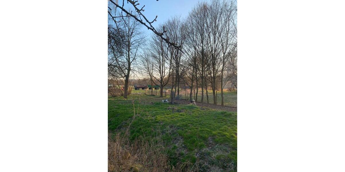 Bauernhaus, Landhaus Stadtilm - 300.000&euro; | Angebot:27163762