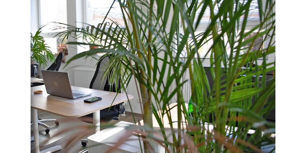 Gewerbeobjekt Andernach - 199&euro; | Angebot:25715596