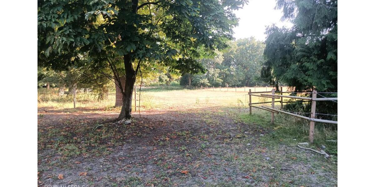 Einfamilienhaus Rehden - 2 Zimmer, 45 m&sup2;, 625.000&euro; | Angebot:27092859