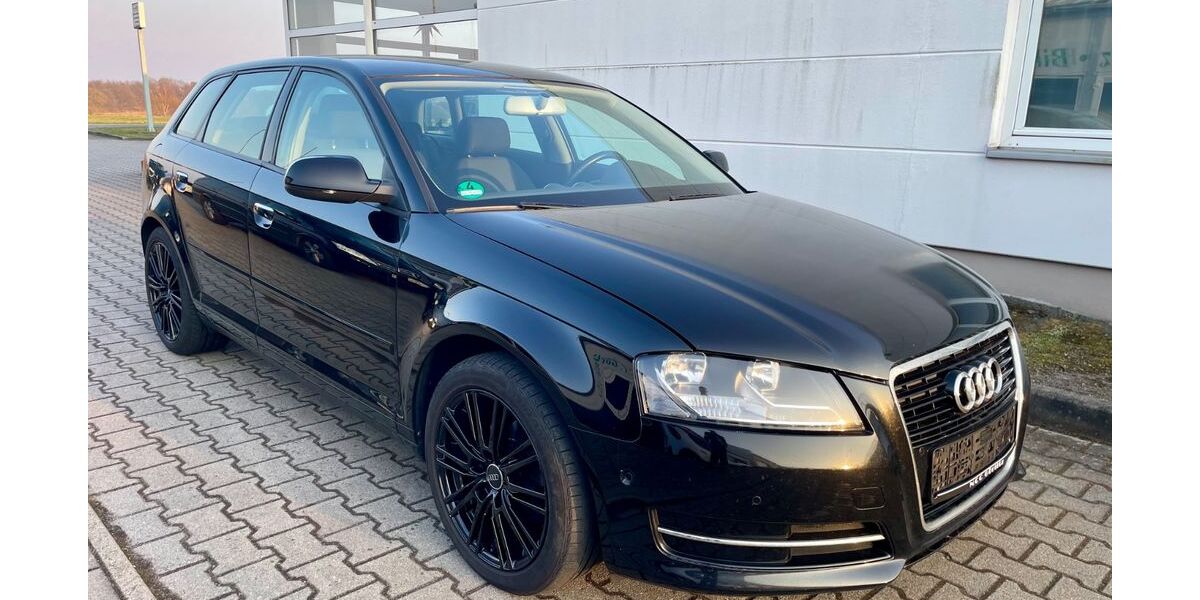 Audi A3 316.800 km 4.250 &euro; Görlitz OT Königshufen 02828