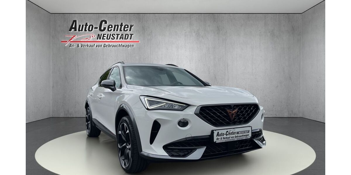 Cupra Formentor 124.700 km 21.780 &euro; Neustadt / Hessen 35279