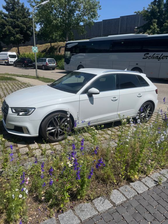A3
