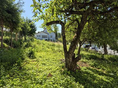 SONNIG & RUHIG MIT ERWEITERUNGSOPTION - Grundstück Tuttlingen | Angebot:27145292