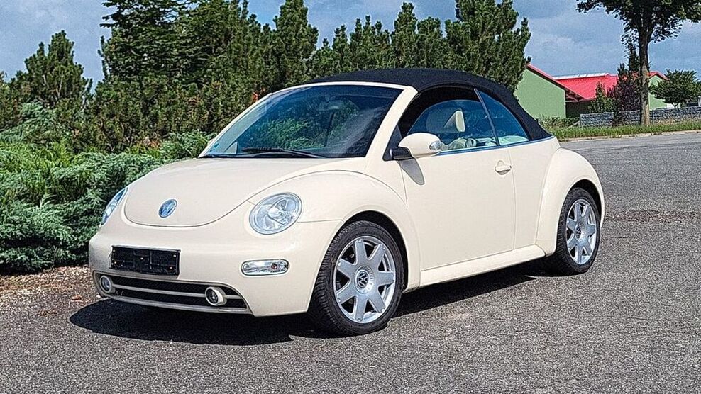 Beetle