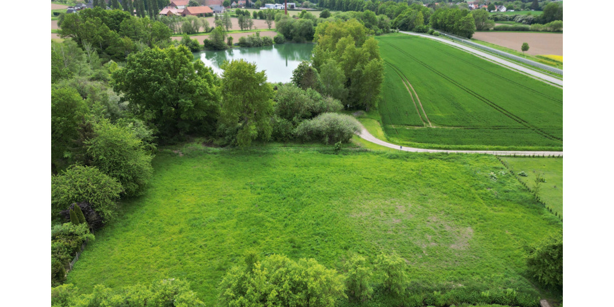RUDNICK bietet: NATUR + 1A ANBINDUNG: 3 Grundstücke einzeln oder als Ganzes zimmer