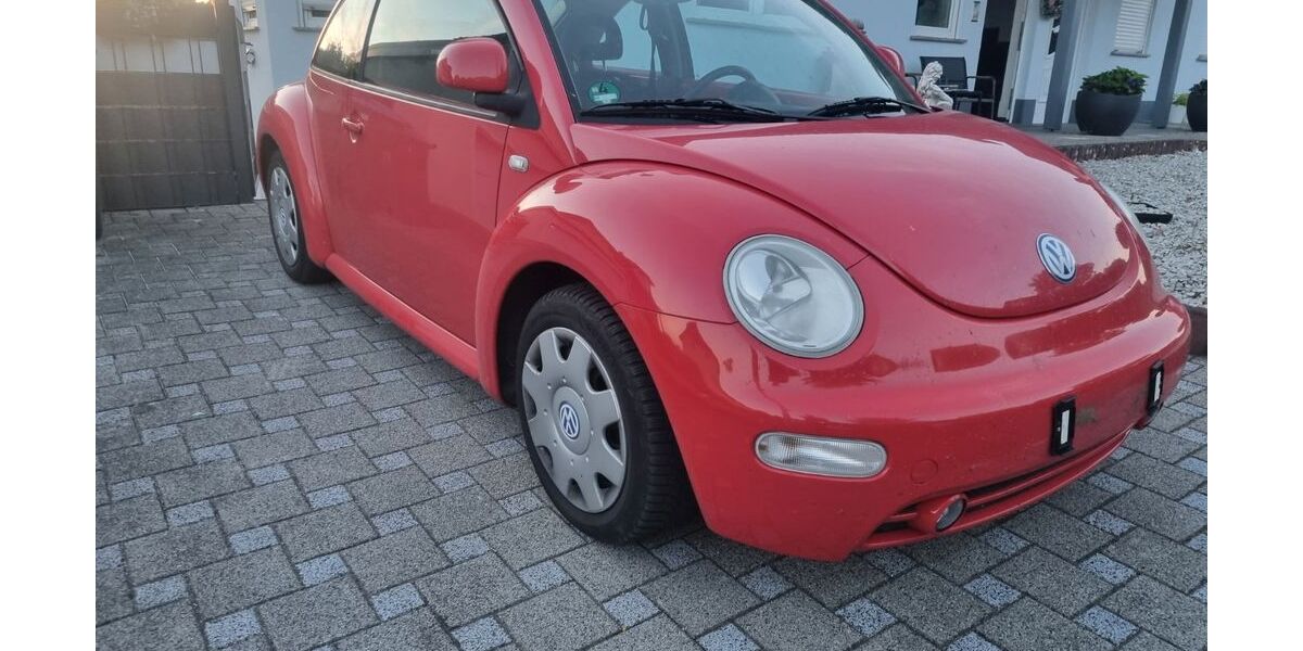 VW Beetle 225.500 km 750 &euro; Schotten 63679