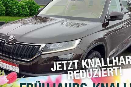 Skoda Kodiaq 137.138 km 19.870 &euro; Marktredwitz 95615