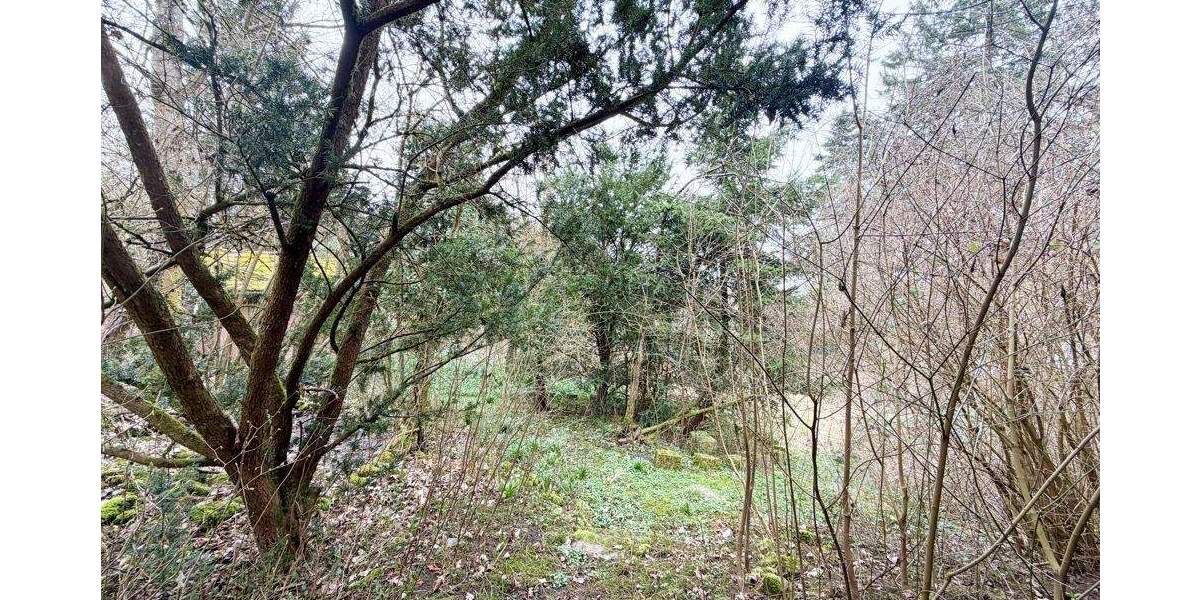 Grundstück Coburg - 59.000&euro; | Angebot:25735847