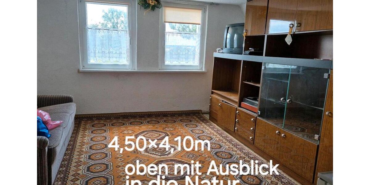 Einfamilienhaus Dommitzsch - 5 Zimmer, 100 m&sup2;, 75.000&euro; | Angebot:27100804