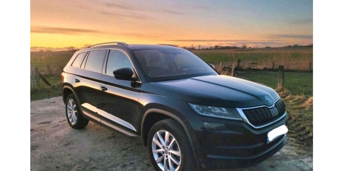 Skoda Kodiaq 87.000 km 22.000 &euro; Krempel 25774