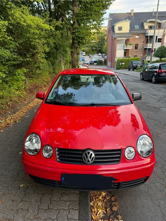 Polo