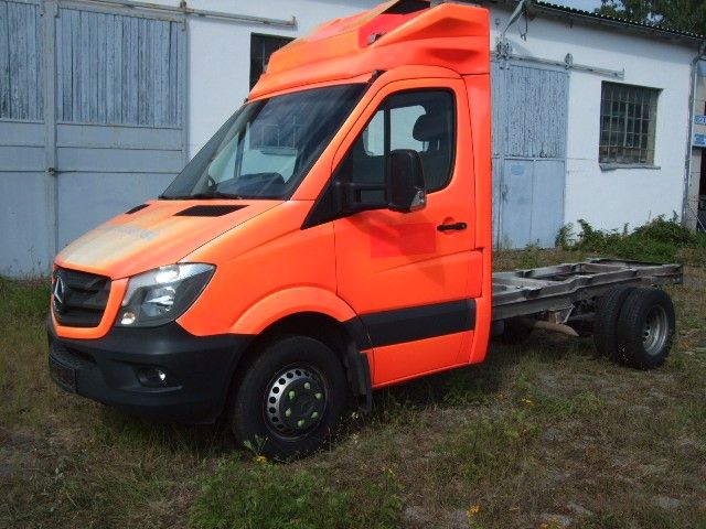 Sprinter