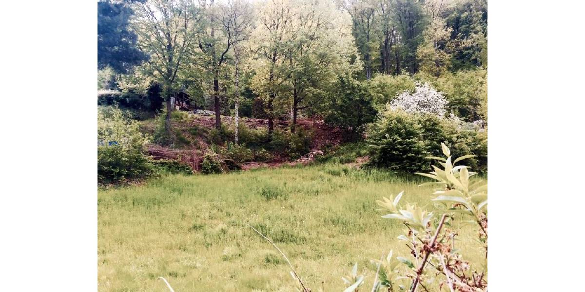 Grundstück Tharandt - 89.000&euro; | Angebot:23976084