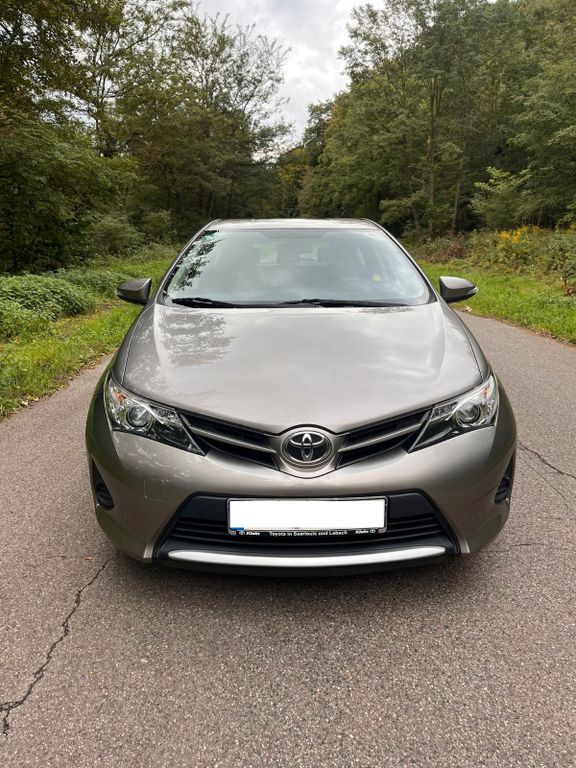 Auris