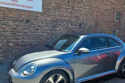 VW Beetle