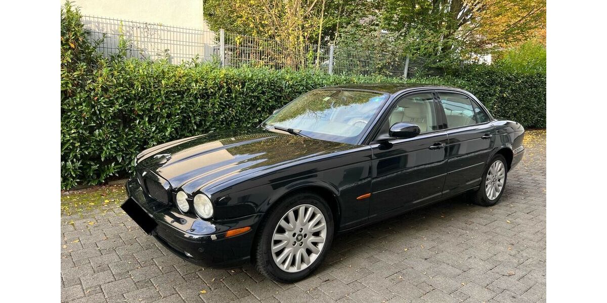Jaguar XJ8 249.000 km 10.000 &euro; Dägeling 25578
