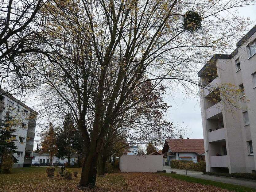 Wohnung zum Kaufen in Neuenburg-Steinenstadt 175.000 € 67 m² 2 zimmer