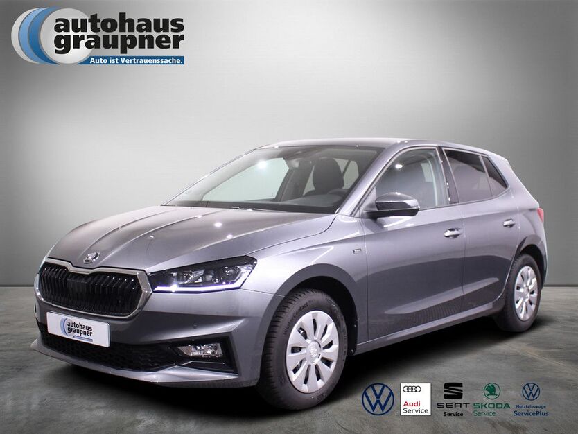 Skoda Fabia 15.000 km 21.985 € Brandis 04821