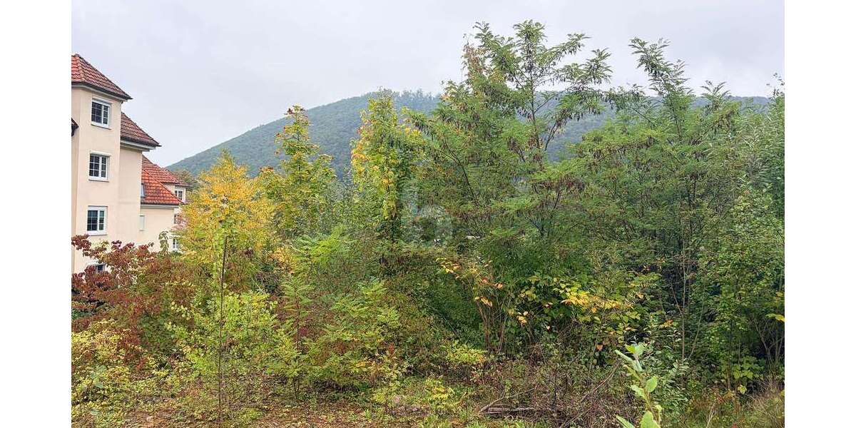 Grundstück Badenweiler - 350.000&euro; | Angebot:25549266