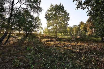 Wohnung Radeberg Ullersdorf - 3 Zimmer, 76 m&sup2;, 269.800&euro; | Angebot:24910907