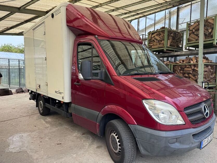 Sprinter