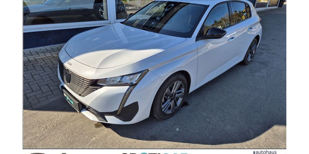 Peugeot 308 19.916 km 22.860 &euro; Sudwalde 27257