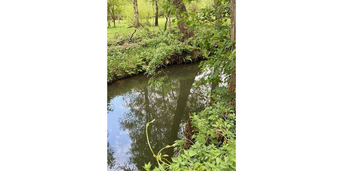 Einfamilienhaus Burg - 4 Zimmer, 123 m&sup2;, 399.000&euro; | Angebot:24637365