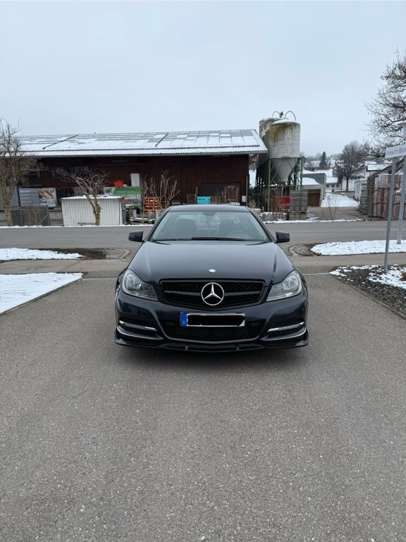 C 250