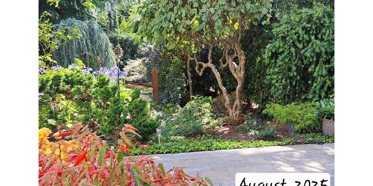 Mehrfamilienhaus, Wohnhaus Nürnberg Sündersbühl - 6 Zimmer, 109 m&sup2;, 479.000&euro; | Angebot:25301974