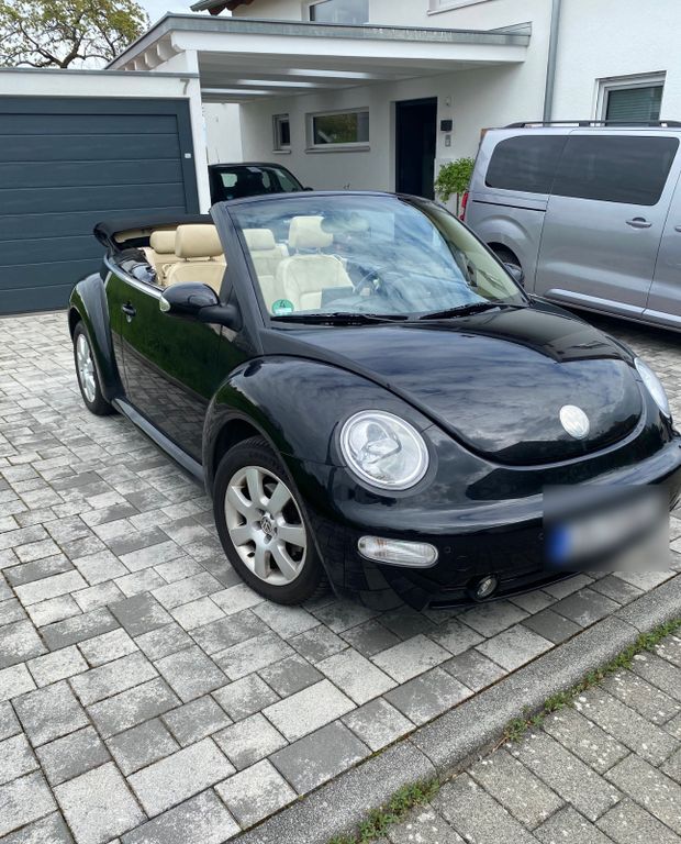 Beetle