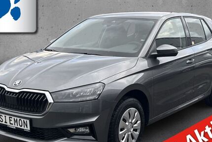Skoda Fabia 8.340 km 17.430 &euro; Emsdetten 48282