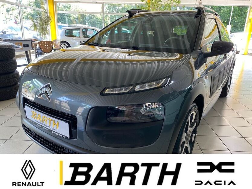 C4 Cactus