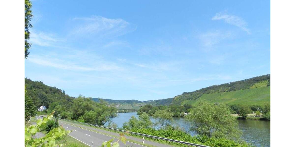 Mehrfamilienhaus, Wohnhaus Traben-Trarbach Trarbach - 1.500.000&euro; | Angebot:25777124