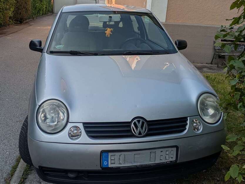 Lupo