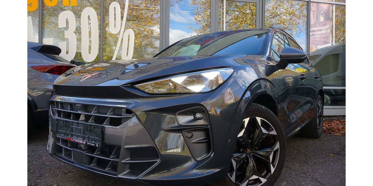 Cupra Terramar 16.200 km 41.790 &euro; Bad Saulgau 88348