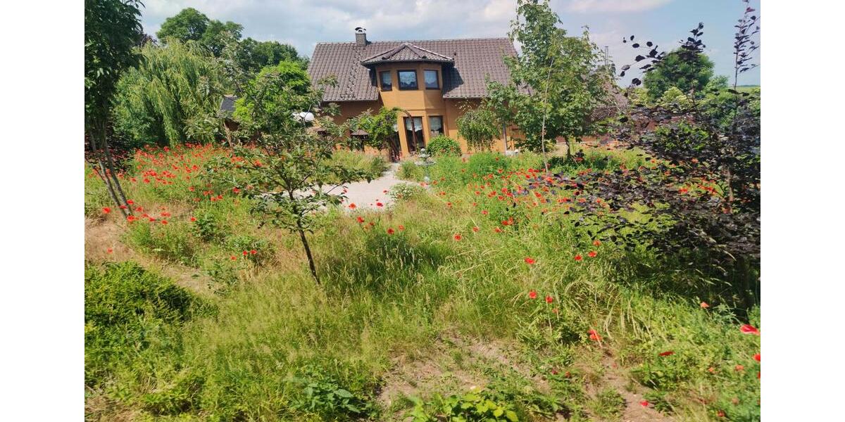 Einfamilienhaus Schwaan - 6 Zimmer, 185 m&sup2;, 549.999&euro; | Angebot:26250074