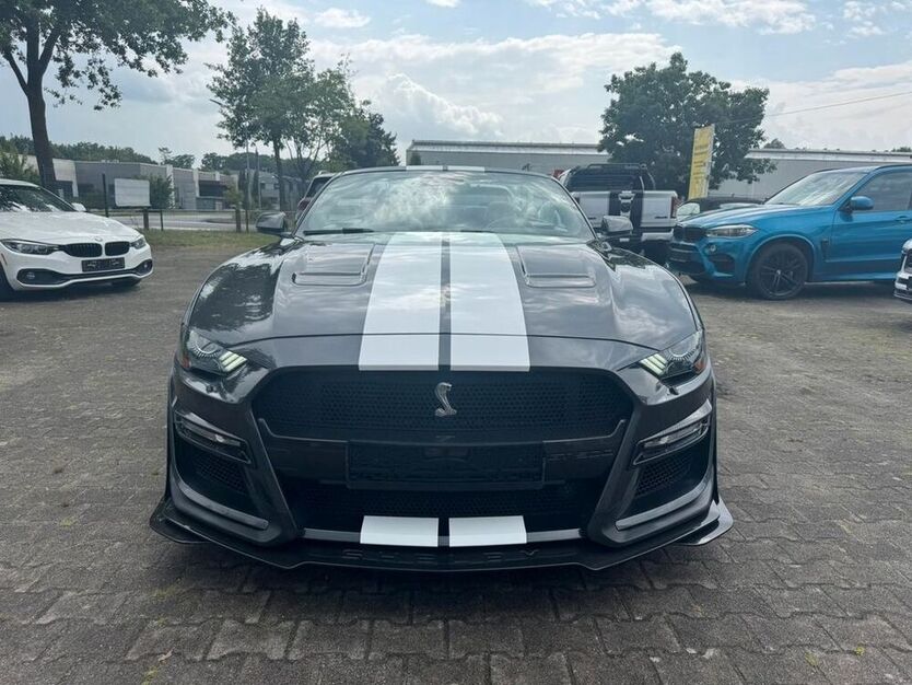 Mustang