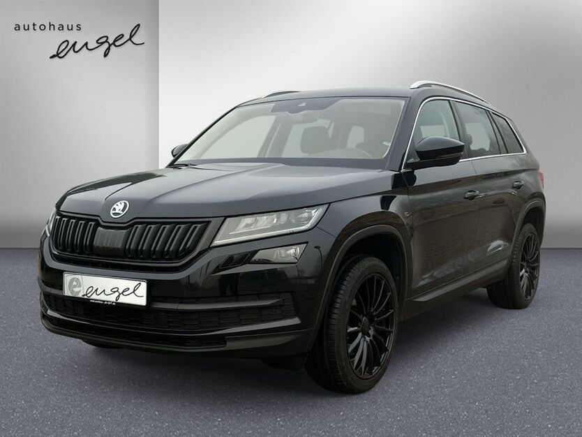 Skoda Kodiaq 66.100 km 24.439 € Wunsiedel 95632