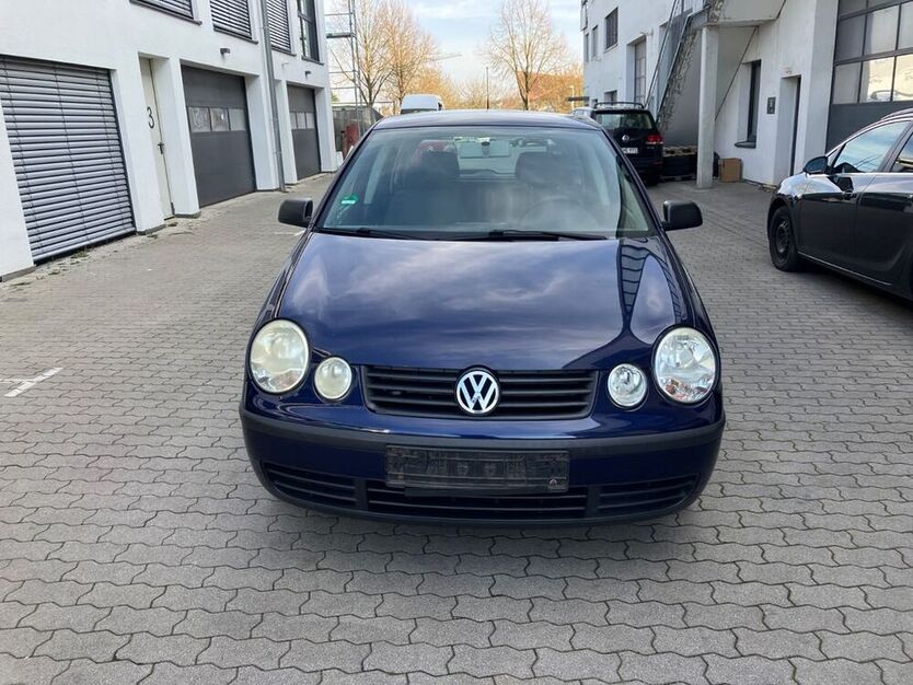 Polo
