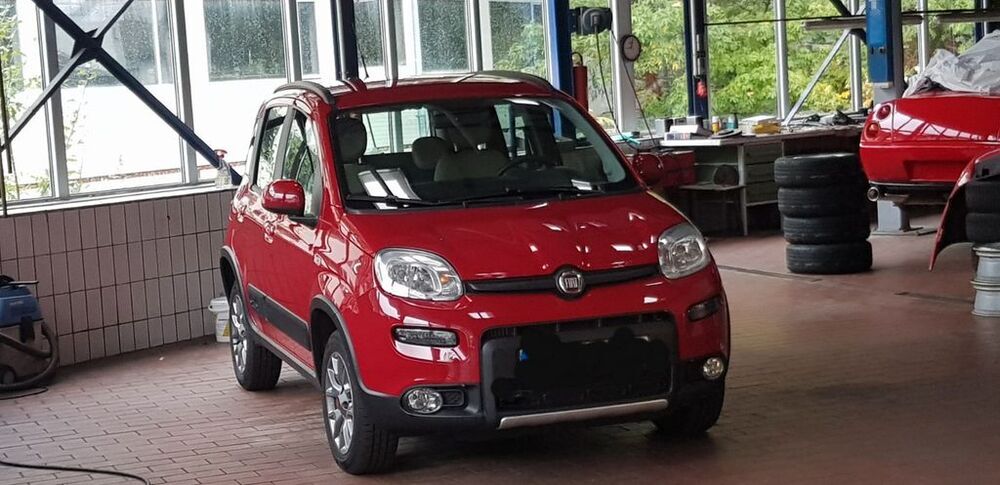 Panda