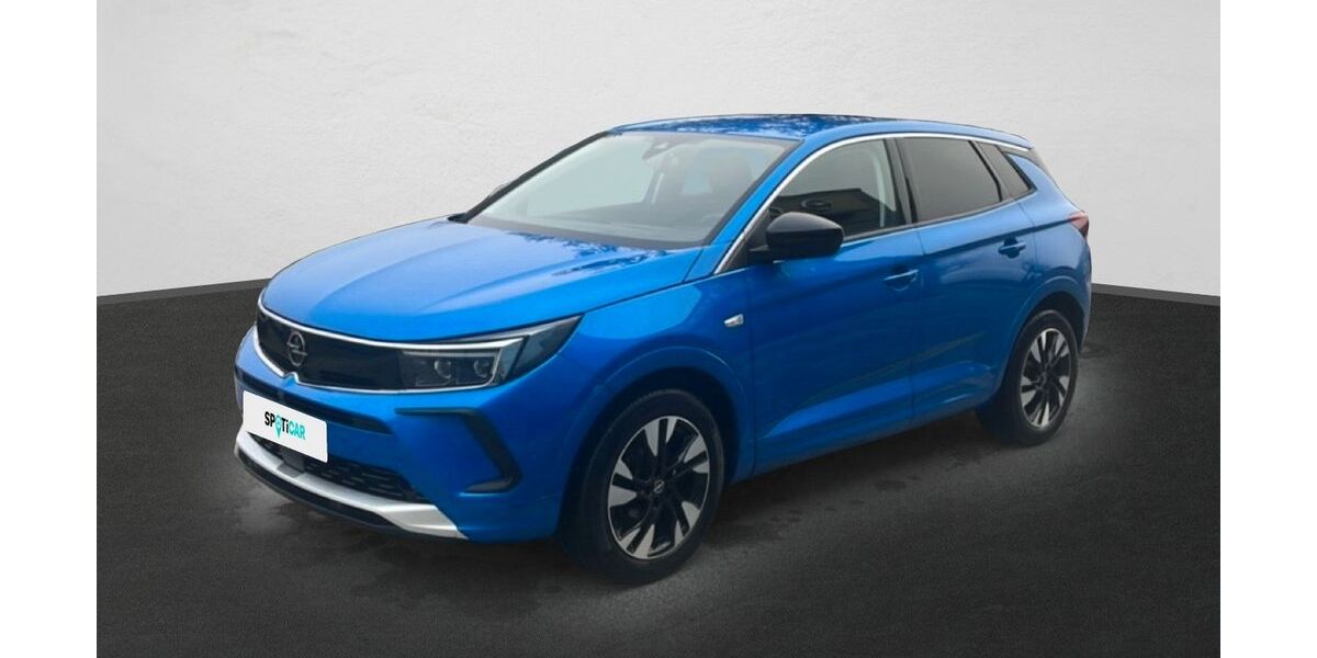 Opel Grandland (X) 111.700 km 21.945 &euro; Pfarrkirchen 84347