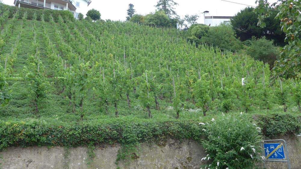 Grundstück Alf - 65.300&euro; | Angebot:25692937