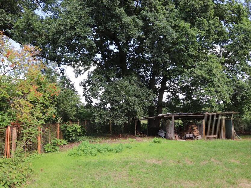 Niedrigenergie- Familienwohnung mit außergewöhnlichem Grundriss zimmer