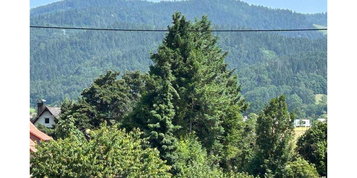 Etagenwohnung Kirchzarten Zarten - 3 Zimmer, 85 m&sup2;, 728.300&euro; | Angebot:26375876