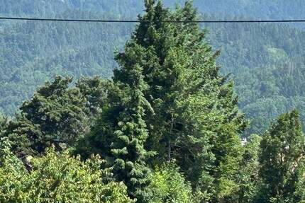 Wohnung Kirchzarten Zarten - 3 Zimmer, 85 m&sup2;, 728.300&euro; | Angebot:26375876