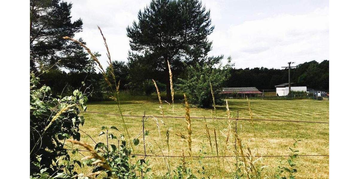 Grundstück Neustrelitz / Groß Trebbow Klein Trebbow - 69.020&euro; | Angebot:25731349