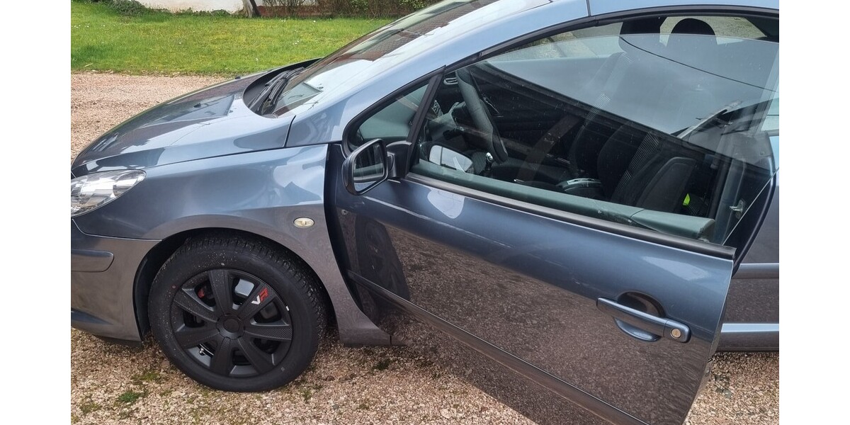 Peugeot 307 CC 128.209 km 4.200 € Oberthal 66649