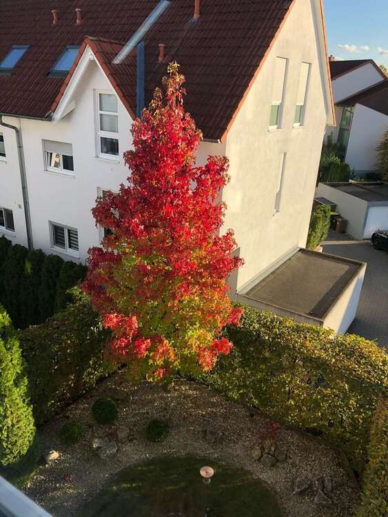 Haus zum Kaufen in Büttelborn 630.000 € 168 m²