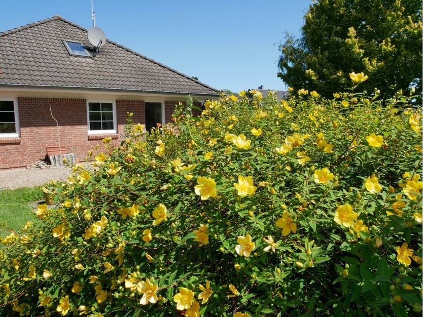 Schön gelegener und gepflegter Bungalow in ruhiger Lage in 24972 Steinbergkirche zu verkaufen.